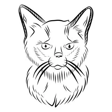 Hand drawn vector illustration of a cat portrait with different emotions, bla Illustration