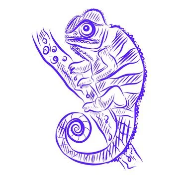 Hand drawn vector illustration of a chameleon sitting on a branch, blue line  Illustration