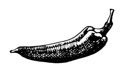 Hand drawn vector illustration of chilli pepper. Stock Illustration
