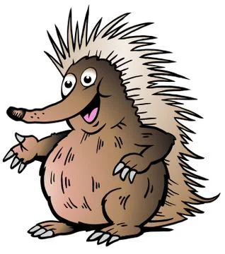 Hand-drawn vector illustration of an echidna Stock Illustration