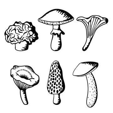 Hand-drawn vector illustration featuring six charming mushrooms, exuding an Stock Illustration