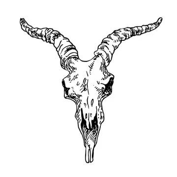 Hand drawn vector illustration goat skull Stock Illustration