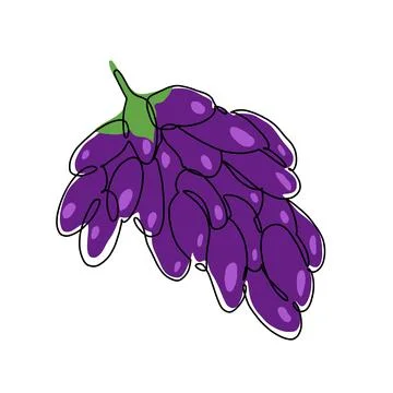 Hand drawn vector illustration of grapes in continuous single line style. Stock Illustration