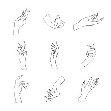 Hand drawn vector illustration of hands Stock Illustration