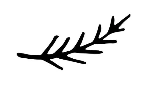 Hand drawn vector illustration of herbs Stock Illustration
