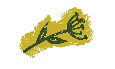 Hand drawn vector illustration of herbs Stock Illustration