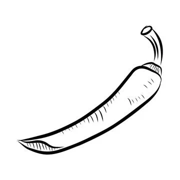Hand-drawn vector illustration of hot pepper. Black line art Illustrazione stock