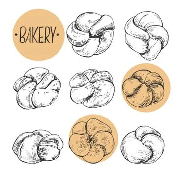 Hand drawn vector illustration knotted rolls with lettering Stock Illustration