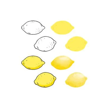 Hand drawn vector illustration of lemon outline, color, watercolor style. 스톡 일러스트