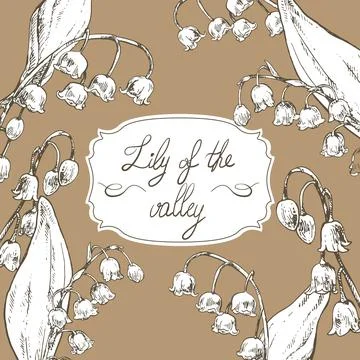 Hand drawn vector illustration lily of the valley 스톡 일러스트