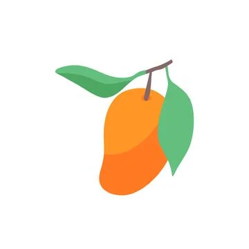 Hand drawn vector illustration of a mango in flat style. Cute illustration of Stock Illustration