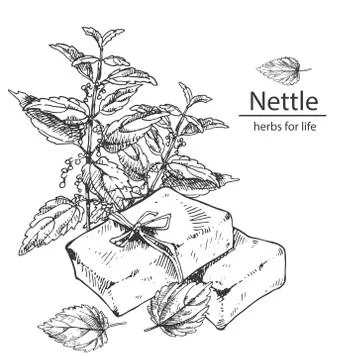 Hand drawn vector illustration of nettle soap Stock Illustration
