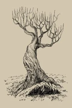 Hand drawn vector illustration of old mystical tree. Isolated illustration Stock Illustration