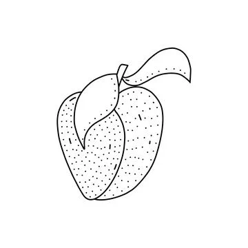 Hand drawn vector illustration of a peach in doodle style. Cute illustration Stock Illustration