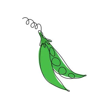Hand drawn vector illustration of peas in single line style. Cute llustration Stock-Illustration