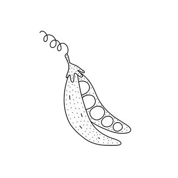 Hand drawn vector illustration of peas in doodle style. Cute llustration of a Illustrazione stock