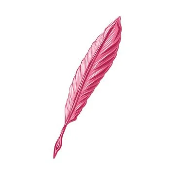 Hand drawn vector illustration of a pink writing pen Stock Illustration