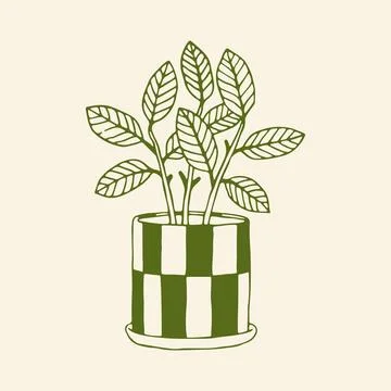 Hand drawn vector illustration of a potted houseplant with lush oval leaves in Stock Illustration