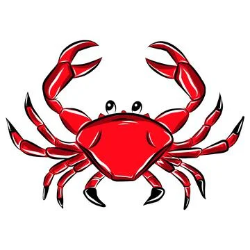 Hand-drawn vector illustration of a red sea crab, cartoon style, line art Ilustração Stock