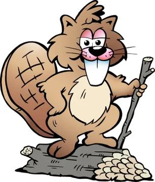 Hand-drawn vector illustration of an rodent beaver Stock Illustration