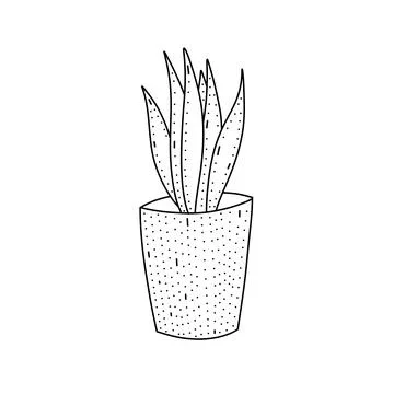 Hand drawn vector illustration of s cute plant in housepot. Cute illustration Stock Illustration