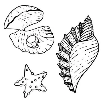 Hand drawn vector illustration of seashells of different shapes and sizes, bl Stock-Illustration