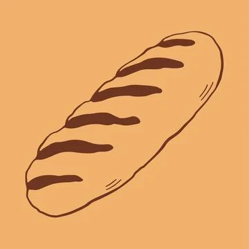 Hand drawn vector illustration of a stalk of wheat with ripe grains. Minimalist Stock Illustration