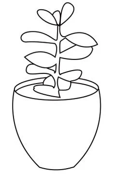 Hand drawn vector illustration of a succulent Stock Illustration