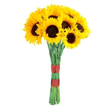 Hand-drawn vector illustration of sunflower - Heliantus annual. Realistic i.. Stock Illustration