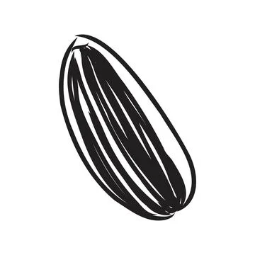 Hand drawn vector illustration of sunflower seeds. Elements for design of pos Stock Illustration