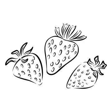 Hand drawn vector illustration of three strawberries drawn with black line ar 库存插图