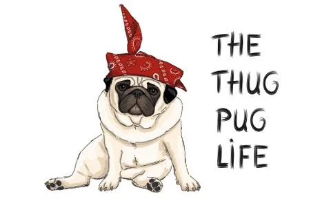 Hand drawn vector illustration of thug pug puppy dog, sitting down with bandana Stock Illustration