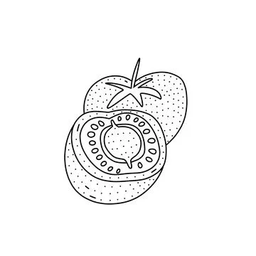 Hand drawn vector illustration of tomatoes in doodle style. Cute illustration Stock Illustration