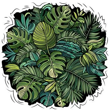 Hand drawn vector illustration of tropical jungle leaves in doodle style Stock Illustration