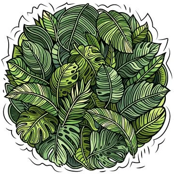 Hand drawn vector illustration of tropical jungle leaves in doodle style 스톡 일러스트