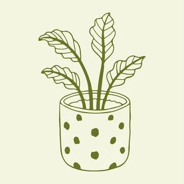 Hand drawn vector illustration of a tropical houseplant in a decorative polka Stock Illustration