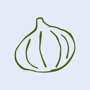Hand drawn vector illustration of a whole garlic bulb with cloves and root Stock Illustration