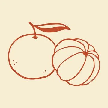 Hand drawn vector illustration of a whole mandarin with a leaf and a peeled Stock Illustration