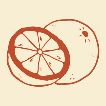 Hand drawn vector illustration of a whole orange and a sliced half showing the Stock Illustration