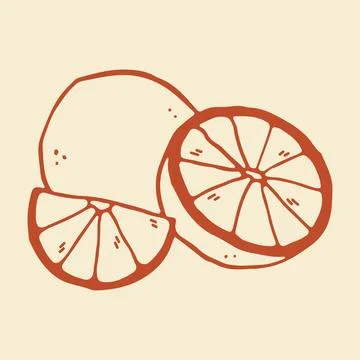 Hand drawn vector illustration of a whole lime fruit, a half, and a segment Stock Illustration