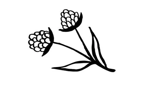 Hand drawn vector illustration of wildflowers Stock Illustration