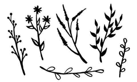 Hand drawn vector illustration of wildflowers Stock Illustration