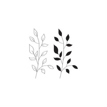 Hand drawn vector illustrations. Botanical branches of eucalyptus and fern. F Stock Illustration