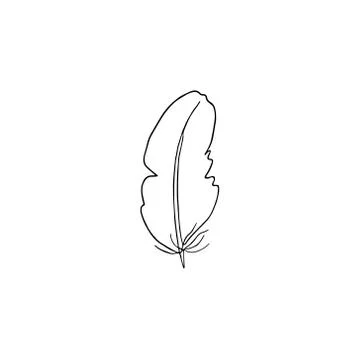 Hand drawn vector image, bird feather, outline illustration Stock Illustration