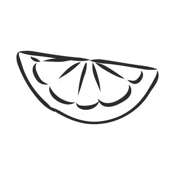 Hand drawn vector lemon slice, piece, on light background. lemon, vector sket Illustrazione stock