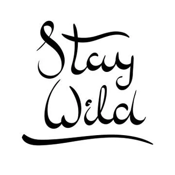 Hand drawn vector lettering phrase. Modern motivating calligraphy decor for w Stock Illustration
