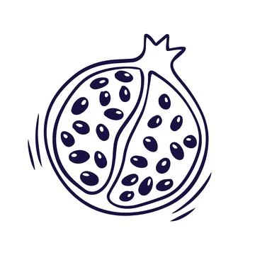 Hand drawn vector line art illustration of a halved pomegranate Stock Illustration