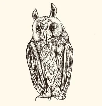 Hand drawn vector long-eared owl Stock Illustration