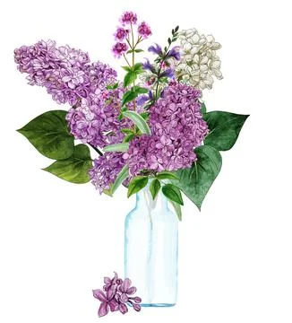 Hand drawn vector Lush lilac bouquet in glass bottle Stock Illustration