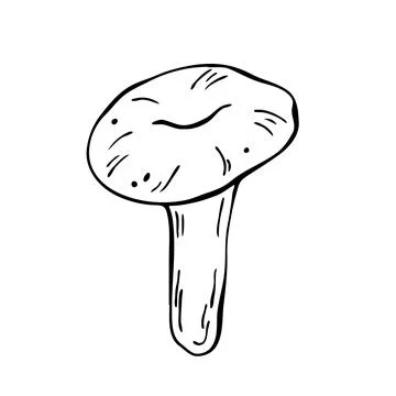 Hand drawn vector mushroom. Outline black vector forest element Stock Illustration